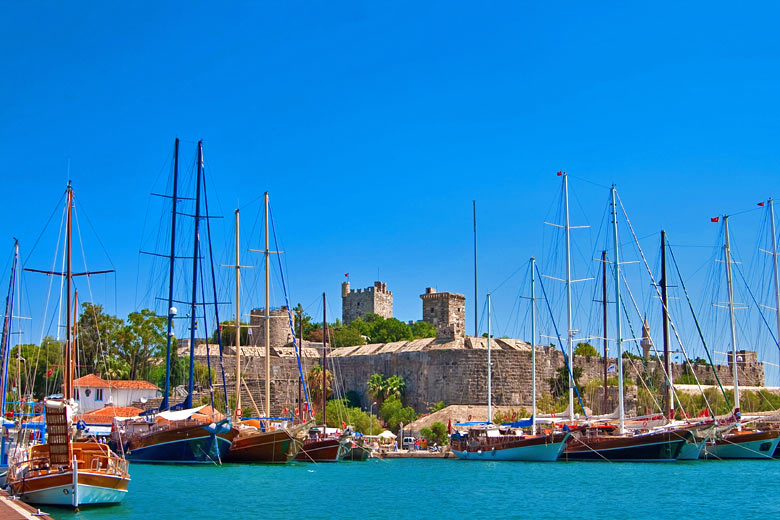 Bodrum Castle from inside the port
