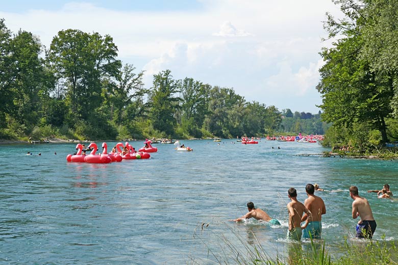Bob down the River Aare in summer