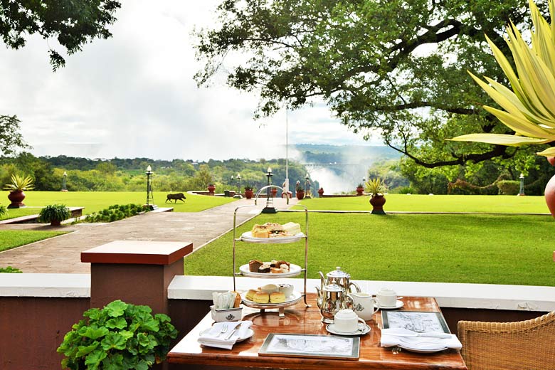 Afternoon tea with passing warthog and bridge view, Victoria Falls Hotel