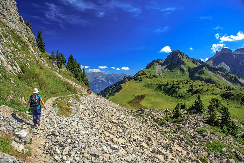 August in the Bernese Oberland just south of Bern, Switzerland © Murray Foubister - Flickr Creative Commons