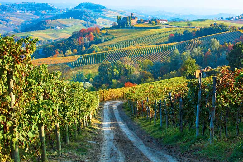 Autumn in the Piedmont region of Italy