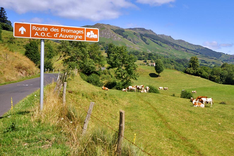 The rolling green fields along the Cheese Route