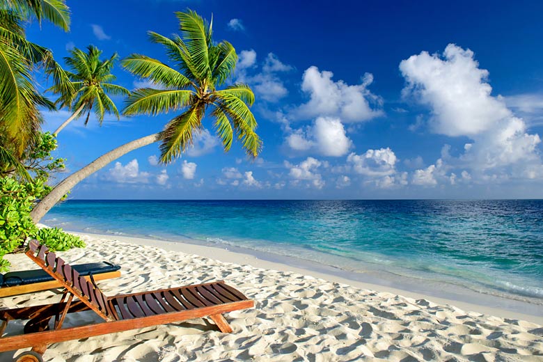 A palm-lined beach in the Maldives, Indian Ocean © Loocid GmbH - Fotolia.com