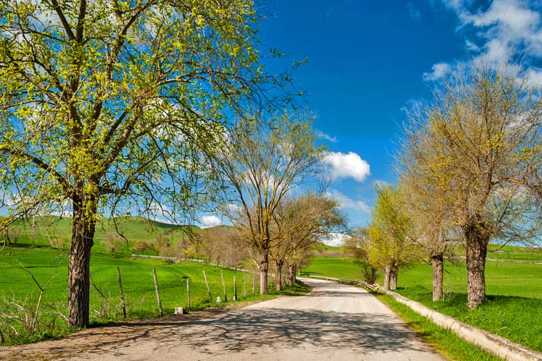 Beautiful spring day in Sicily, Italy