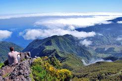 8 reasons to add Madeira to your bucket list