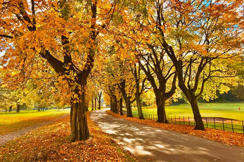 UK autumn season weather guide Where to go in 2024/2025