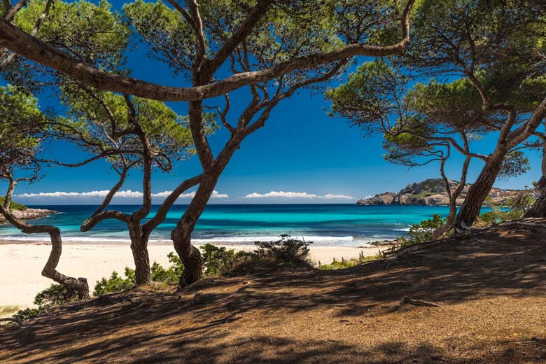 Cala Agulla, Majorca Cala Agulla, Majorca