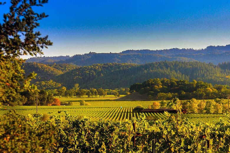 Californian wineries & wine trails
