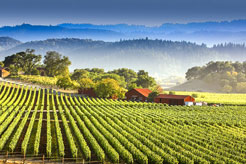 10 cool Californian wineries and wine trails