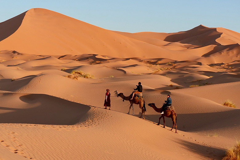 Trail the dunes of the Sahara in Morocco