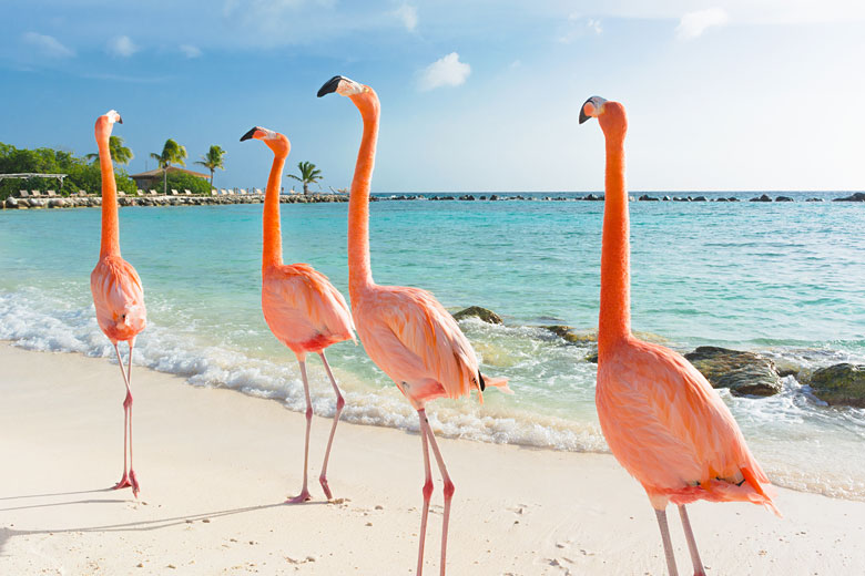 Top winter cruises to the Caribbean & Atlantic islands with Marella