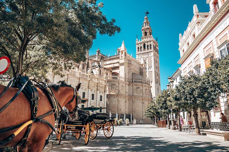 Malaga or Seville: which southern Spanish city is for you?