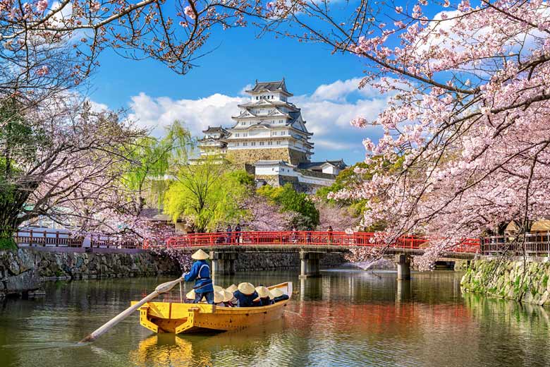 Go for Japan's iconic cherry blossom in spring