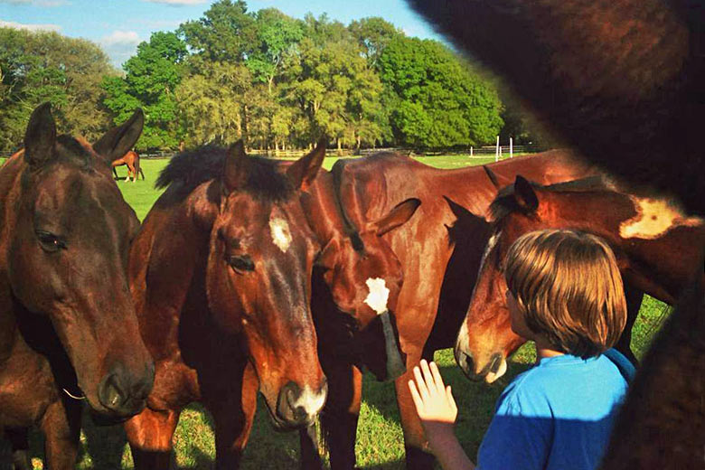 Up close and personal with friendly horses - photo courtesy of Cactus Jack's Trail Rides