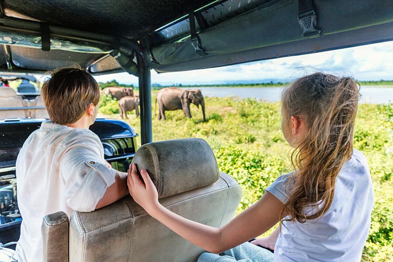 Close encounter with wild elephants in Sri Lanka