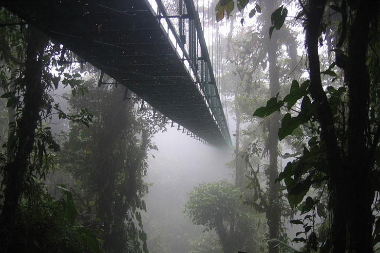 Cloud forest walkway in Costa Rica