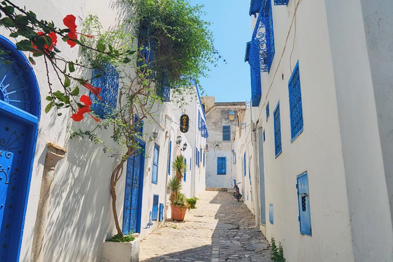 The blue and white of Sidi Bou Said