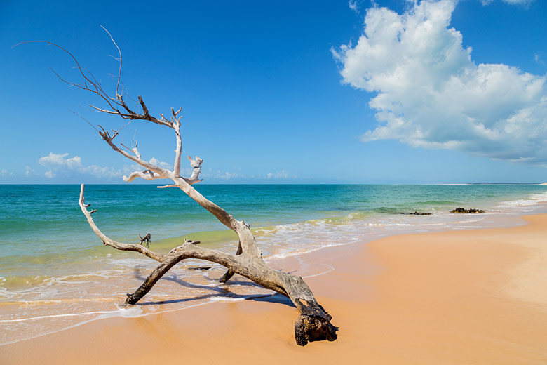Deserted beach in Mozambique