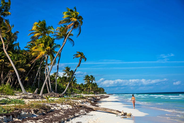 Deserted beach on the Riviera Maya, Mexico Caribbean Coast Deserted beach on the Riviera Maya, Mexico Caribbean Coast
