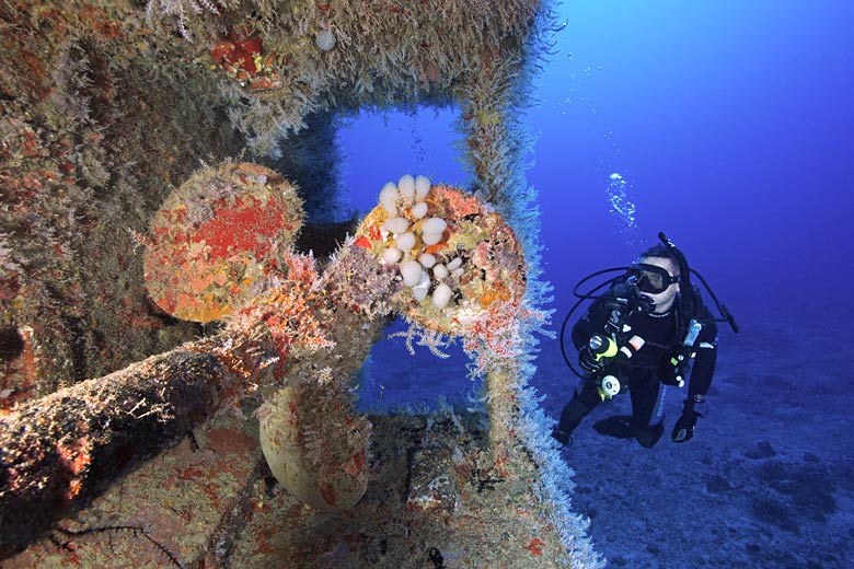 Diving the King Mitch wreck, Grenada © Poelzer Wolfgang - Alamy Stock Photo