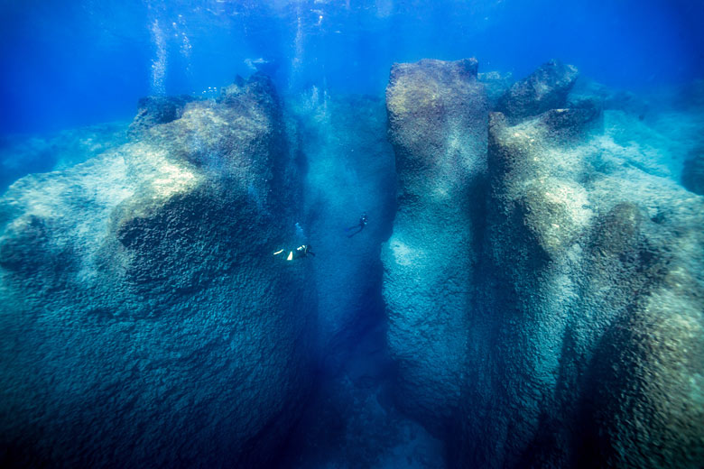 Dive deep into the coral-covered Canyon Dive deep into the coral-covered Canyon