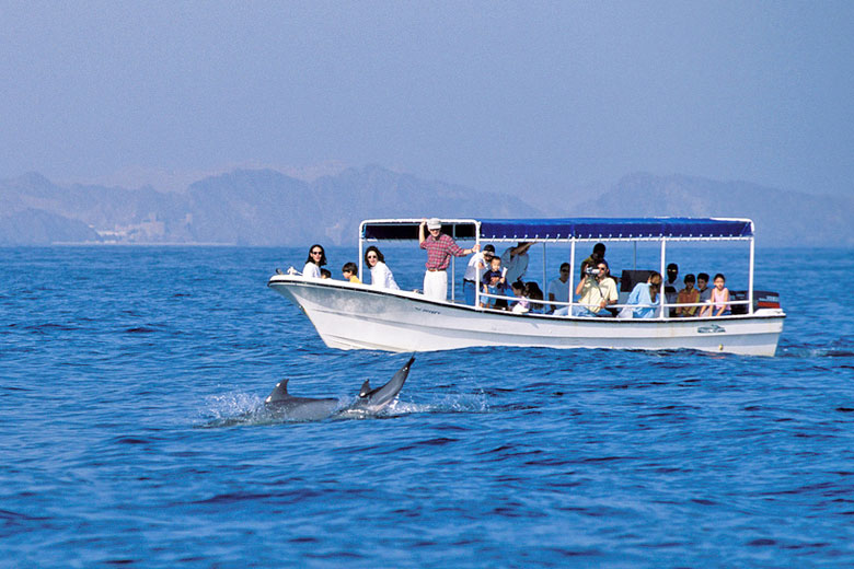 Dolphin watching, Muscat, Oman