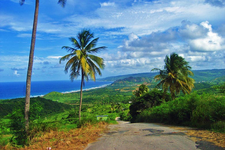 The east coast of Barbados, Caribbean