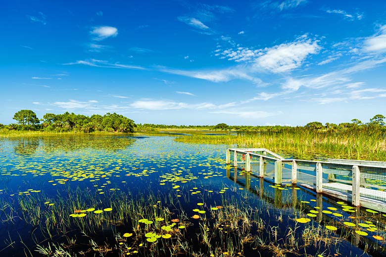 The Everglades National Park, Florida © Fotoluminate LLC - Fotolia.com