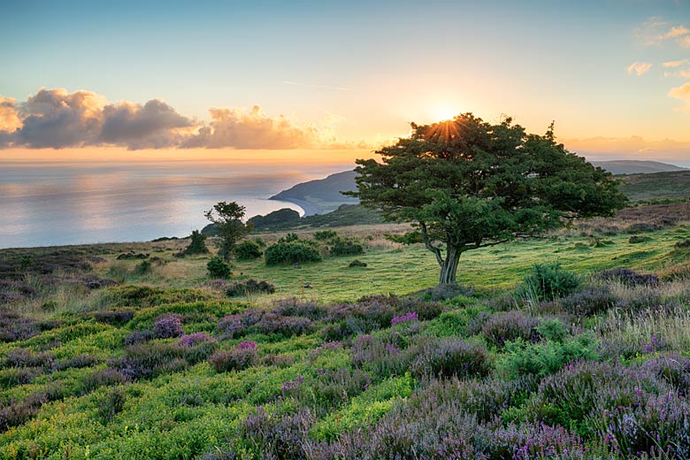 9 easy walks for families along the South West Coast Path