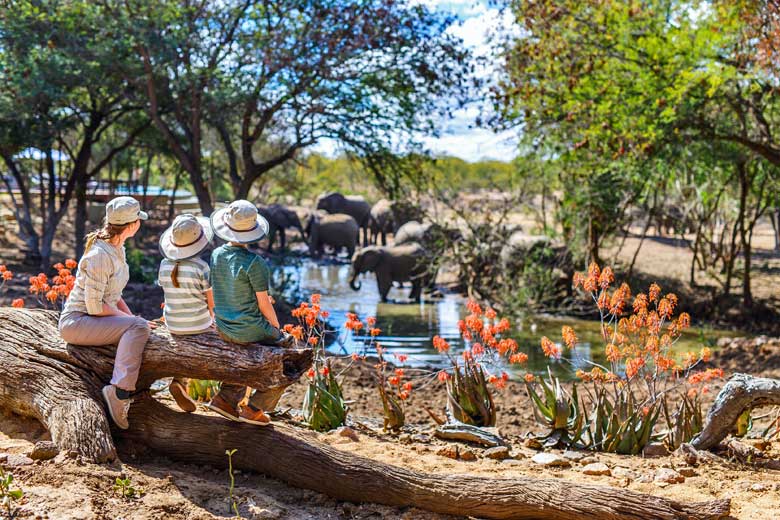 The best family safari experiences in Africa for kids of all ages