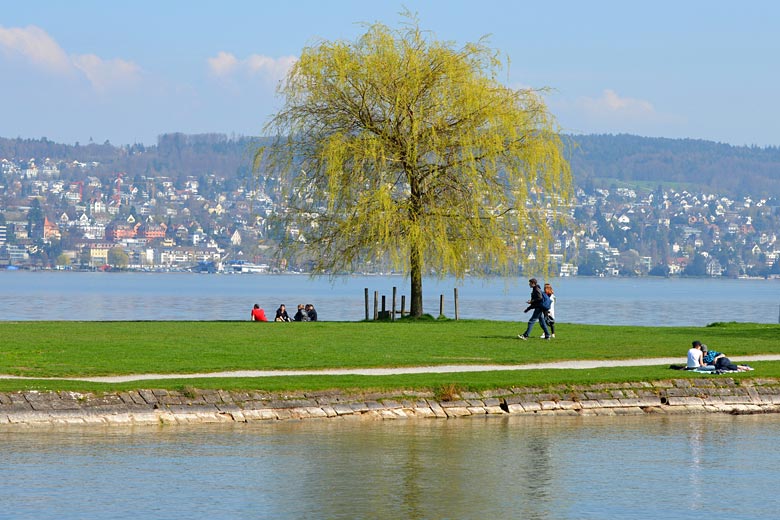 First signs of spring in Zurich, Switzerland in March
