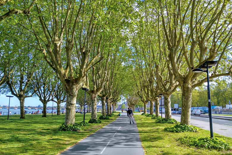 Riverfront gardens, Bordeaux