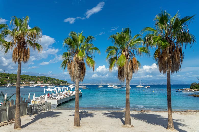 The palm-lined white sand of La Garoupe Beach, Antibes