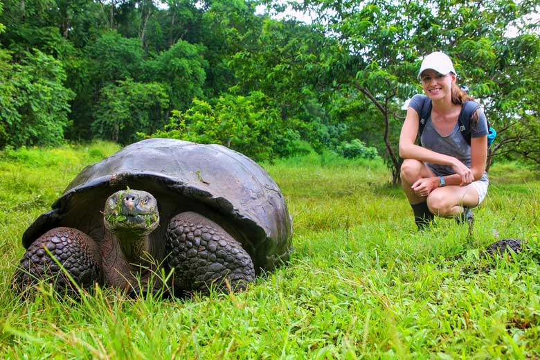 Giant tortoise on Santa Cruz Island, Galapagos National Park, Ecuador