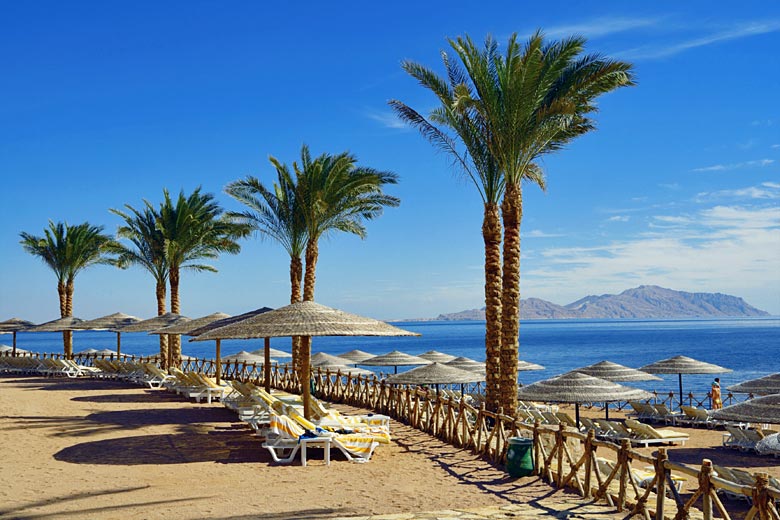 Sandy shores overlooking the Tiran Straits