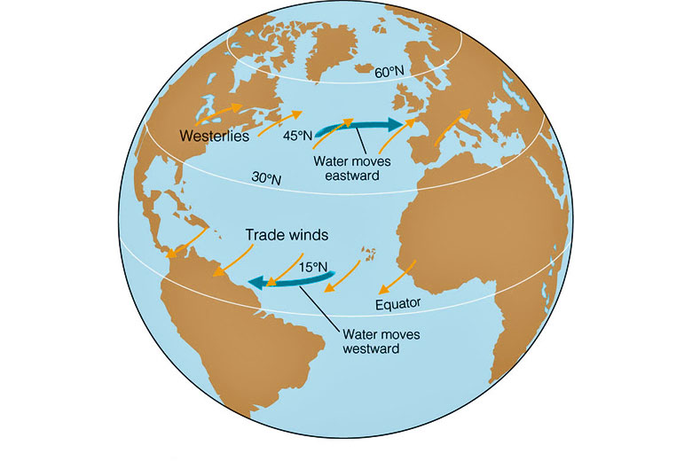 How trade winds and westerlies affect ocean currents © Brooks/Cole - Thomson