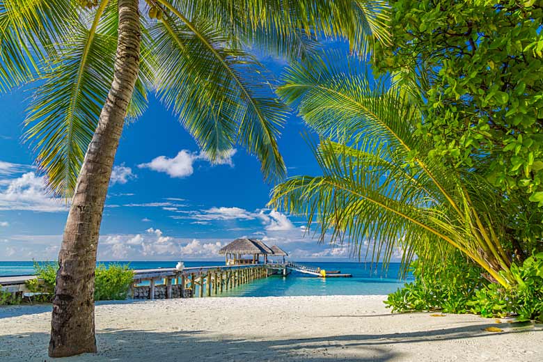 Idyllic resort island in the Maldives © Icemanphotos - Adobe Stock Image