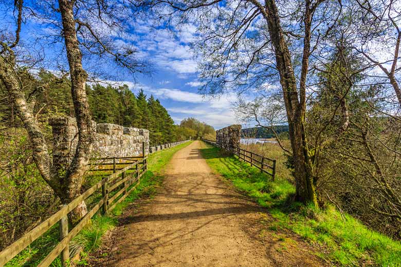 Kielder Forest in the north of England