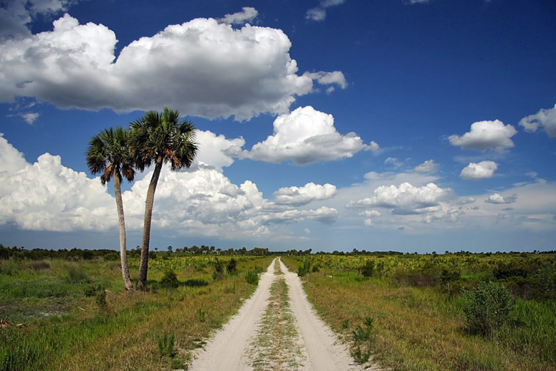 The open expanse of Kissimmee Prairie Preserve State Park