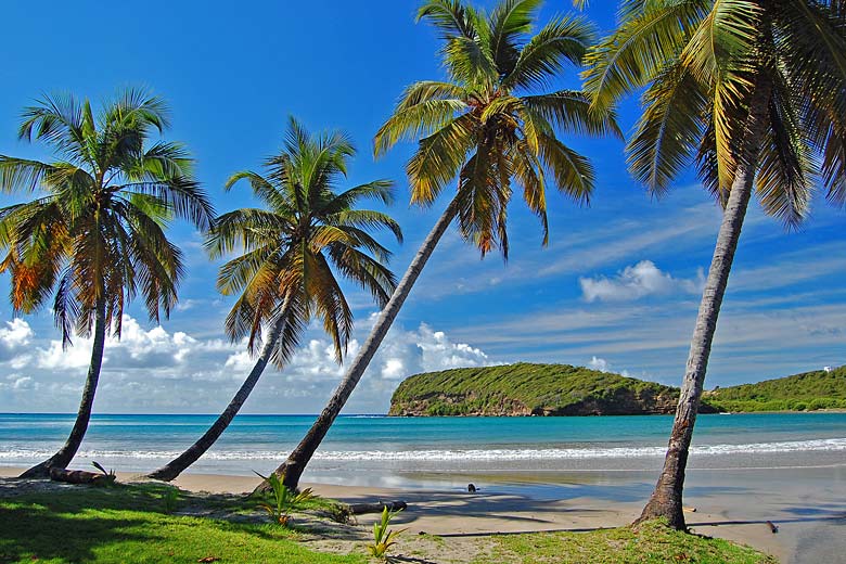 La Sagesse Beach on the island of Grenada © Pawel Kazmierczak - Fotolia.com