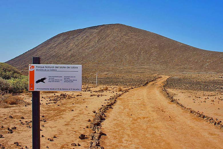 All of Lobos Island is a designated Natural Park