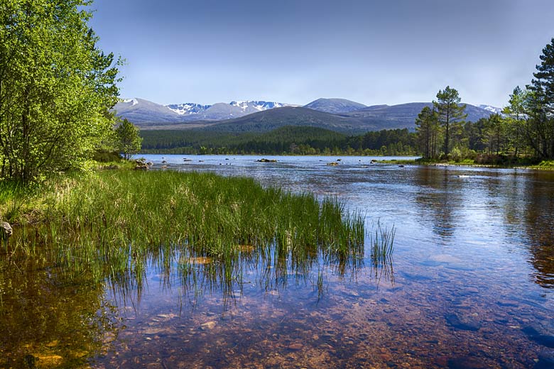Loch Morlich with the Cairngorm mountains beyond © Leegillion - Adobe Stock Image
