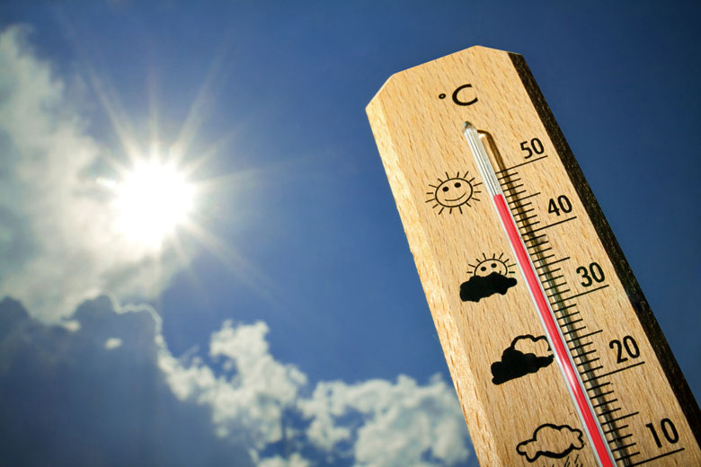 Measuring average daytime maximum temperatures