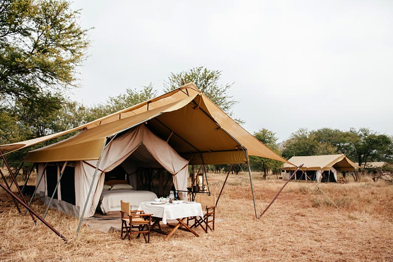 Experience a safari on the move with a mobile camp
