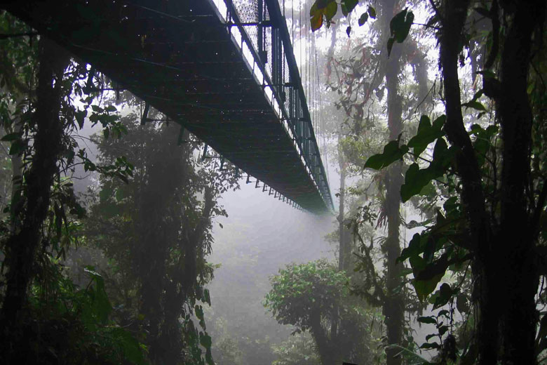 Skywalk through the Monteverde cloud forest, Costa Rica