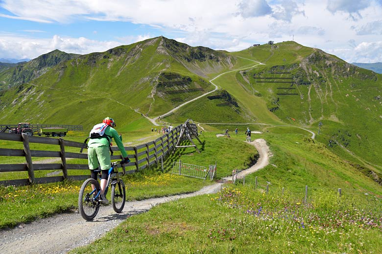 Mountain bike safari in the Austrian Alps