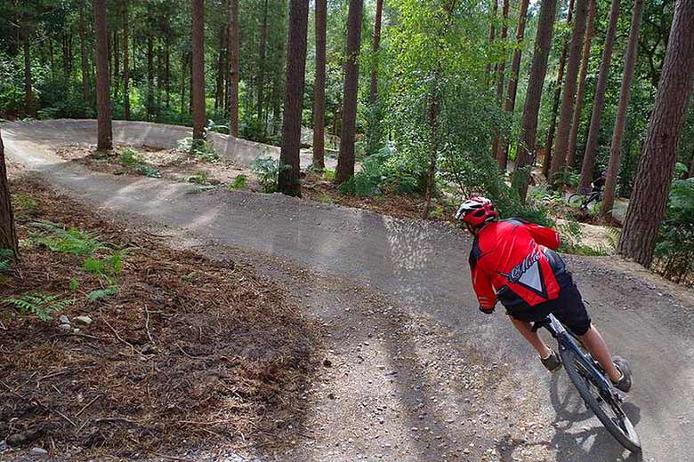 The purpose-built Altura Trail in Whinlatter Forest © Crown Copyright - courtesy of Forestry Commission