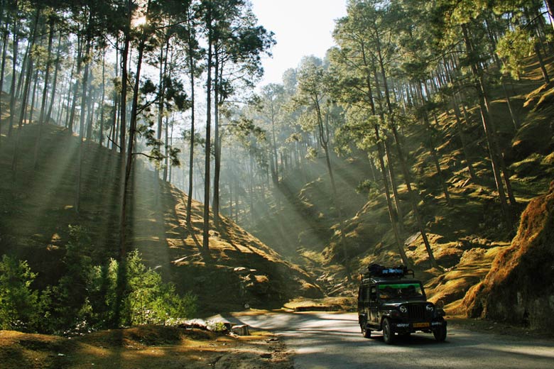 Mountain road near Almora, India © Digitalfestival - Dreamstime.com