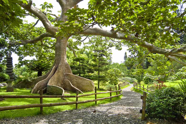 The National Botanical Gardens, Santo Domingo - photo courtesy of Dominican Republic Ministry of Tourism