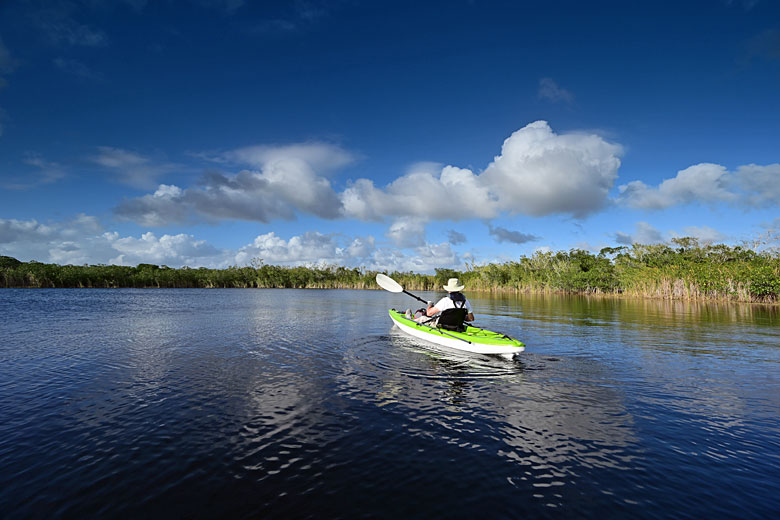 Kayaking in the Everglades © Francisco - Adobe Stock Image